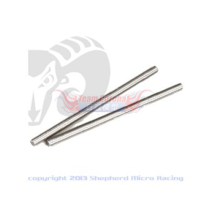 Shepherd 406712 Hinge pins lower front "PRO" (2)